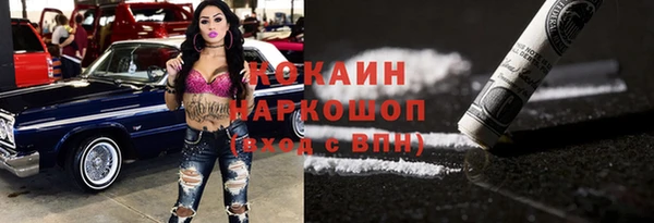 стаф Арсеньев