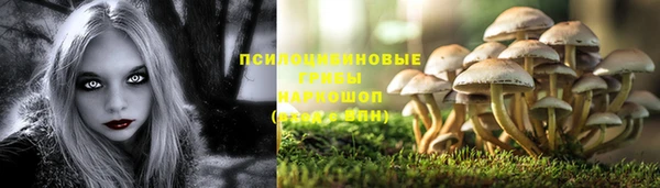 меф Алзамай