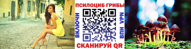 мега как войти  Ахтырский  Псилоцибиновые грибы прущие грибы 